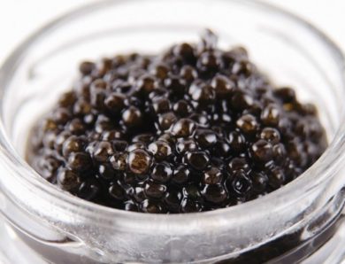Récolte et fabrication du caviar