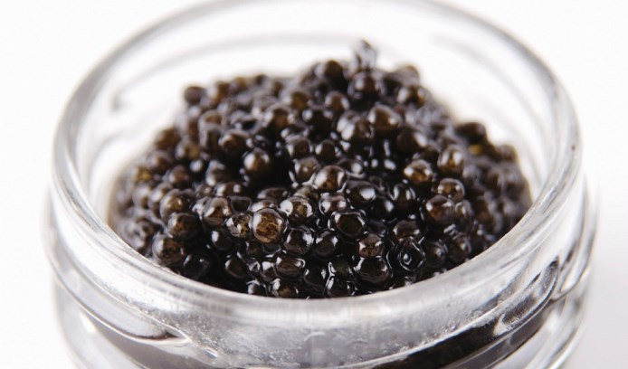 Récolte et fabrication du caviar