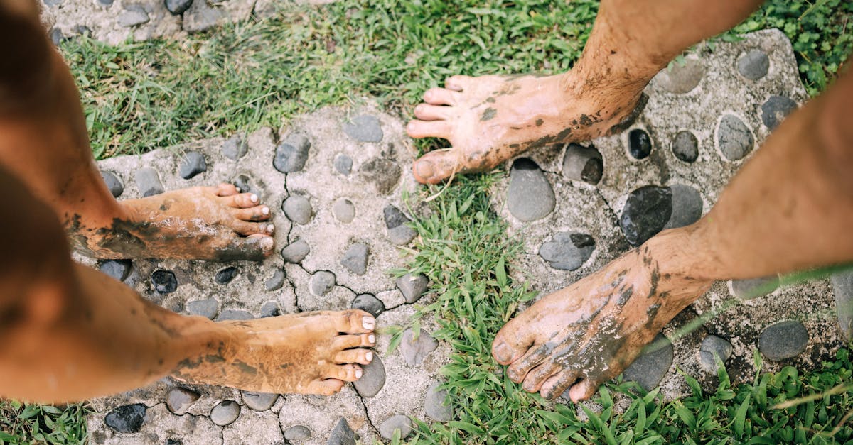 découvrez le mode de vie naturel : explorez des astuces pour un quotidien écologique, des recettes saines, et des conseils pour une maison durable. embrassez un style de vie respectueux de l'environnement et harmonieux avec la nature.