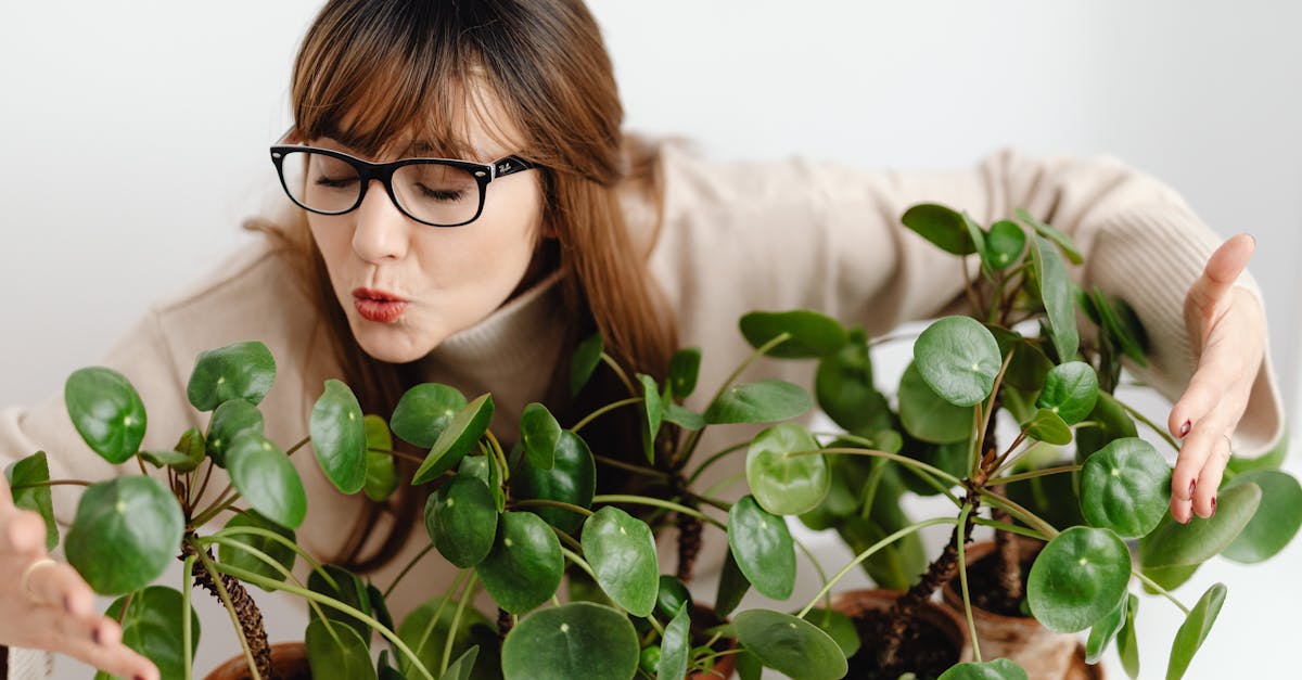 découvrez l'art de vivre naturellement avec nos conseils et astuces pour un mode de vie sain, durable et écologique. explorez des recettes, des remèdes maison, et des idées inspirantes pour intégrer des pratiques respectueuses de l'environnement dans votre quotidien.