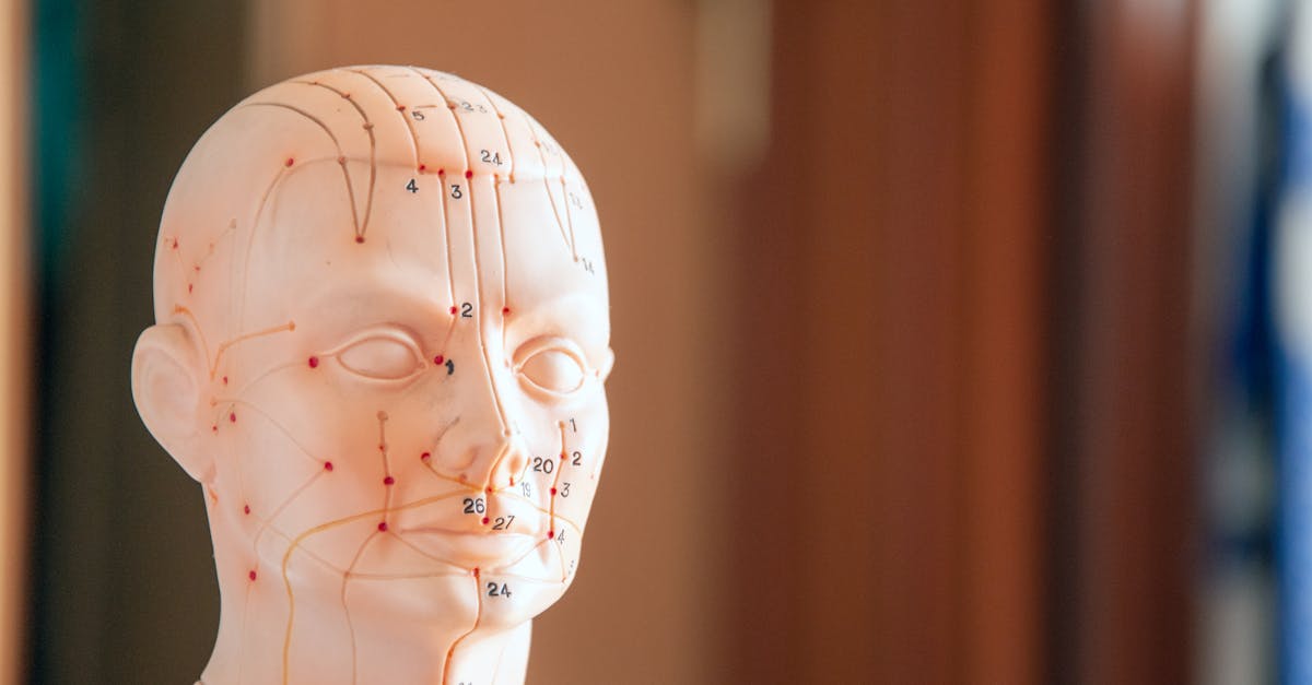 découvrez les bienfaits de l'acupression, une méthode de guérison ancestrale qui utilise des points de pression pour soulager le stress, améliorer la circulation et favoriser le bien-être général. explorez comment cette technique naturelle peut transformer votre santé physique et mentale.