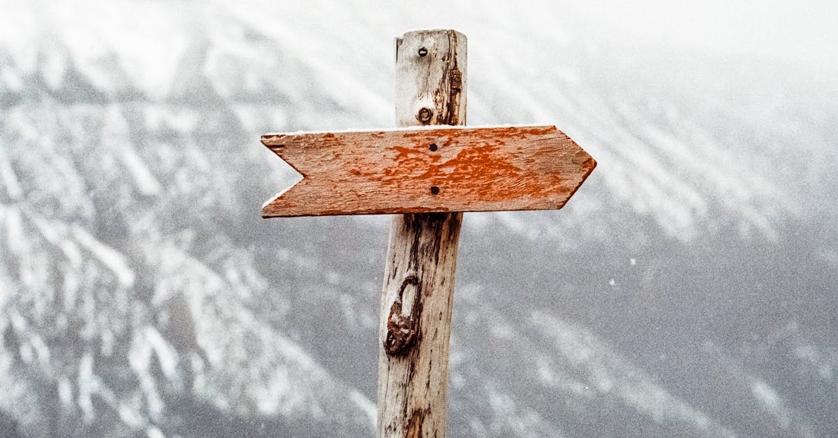 découvrez des stratégies efficaces de génération de leads pour booster votre entreprise. apprenez à attirer, convertir et fidéliser vos clients grâce à des techniques de marketing ciblées et innovantes.