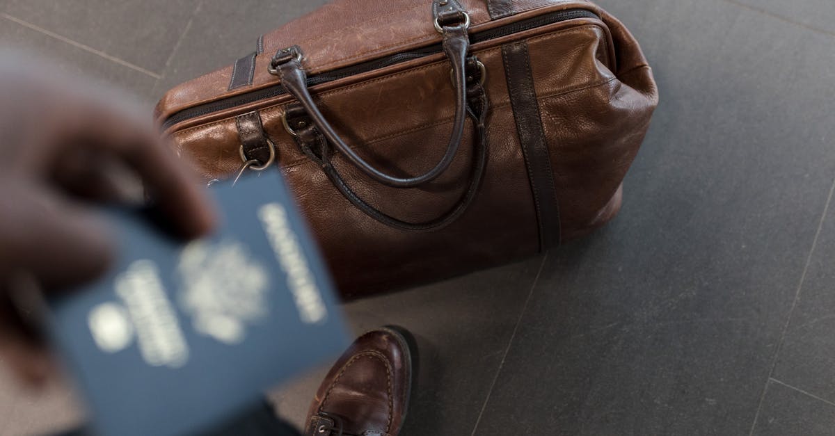 découvrez nos conseils, astuces et inspirations pour organiser vos voyages. explorez de nouvelles destinations, préparez votre itinéraire et vivez des aventures inoubliables autour du monde.