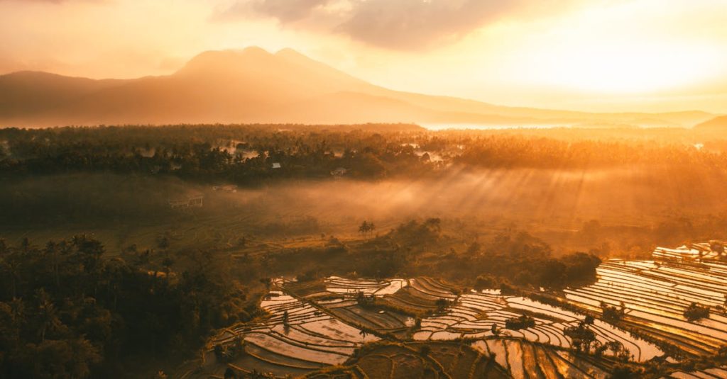 découvrez bali, l'île paradisiaque d'indonésie réputée pour ses plages sublimes, ses rizières verdoyantes, sa culture unique et ses temples majestueux. préparez votre voyage vers une destination de rêve !