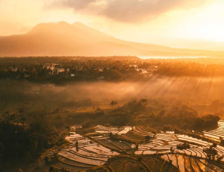 Découvrez Bali avec les conseils pratiques de Bali Tourist