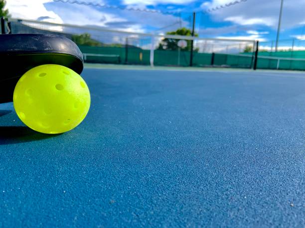 Le prix construction terrain de pickleball change-t-il selon la région ?